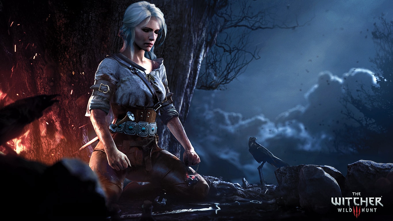 The Witcher 3 Wild Hunt