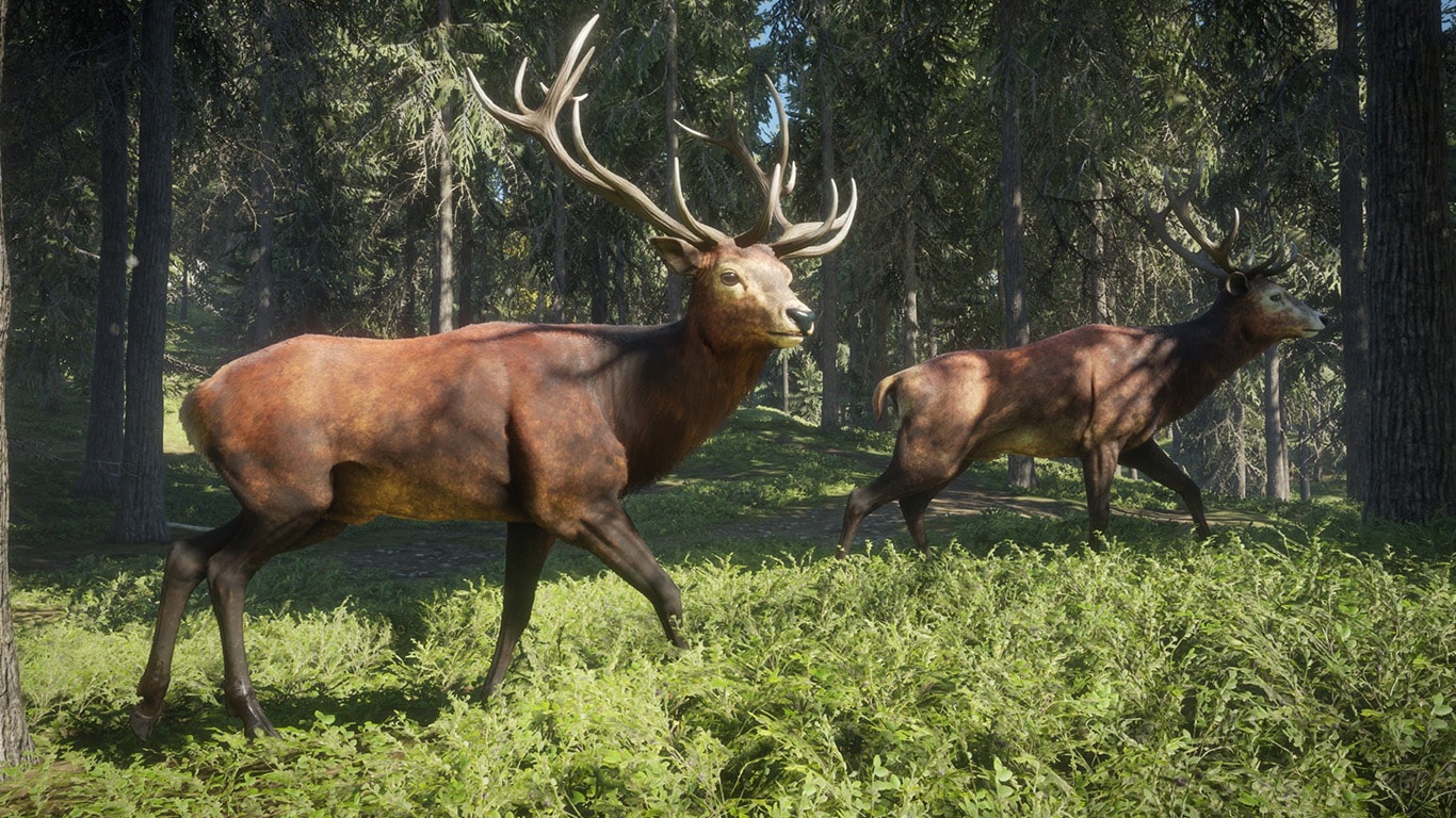 theHunter - Call of the Wild