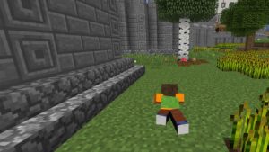 Crawl in Minecraft