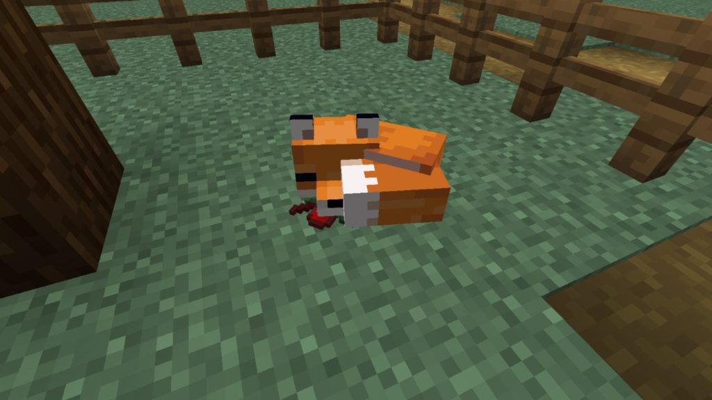 Tame-a-Fox-in-Minecraft