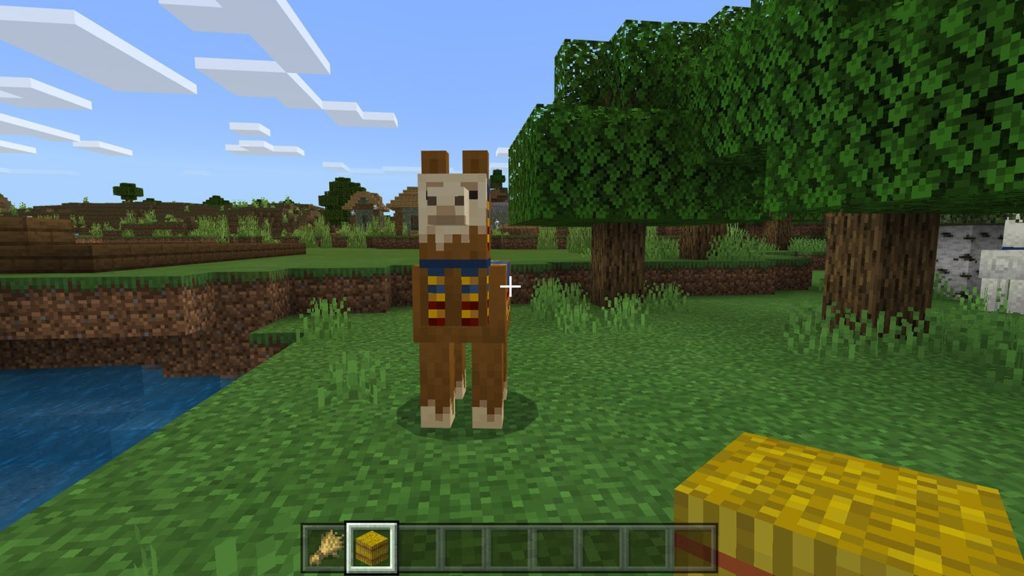What do Llamas Eat in Minecraft