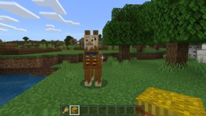 What do Llamas Eat in Minecraft
