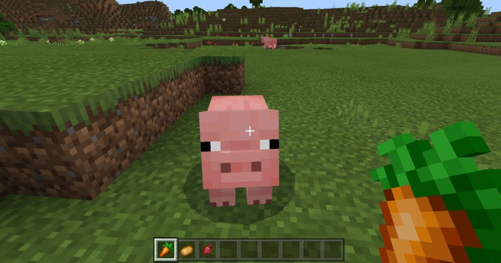 Feed Pigs in Minecraft