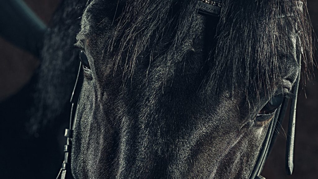 Best Horse Games for PC