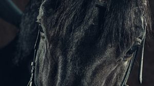 Best Horse Games for PC