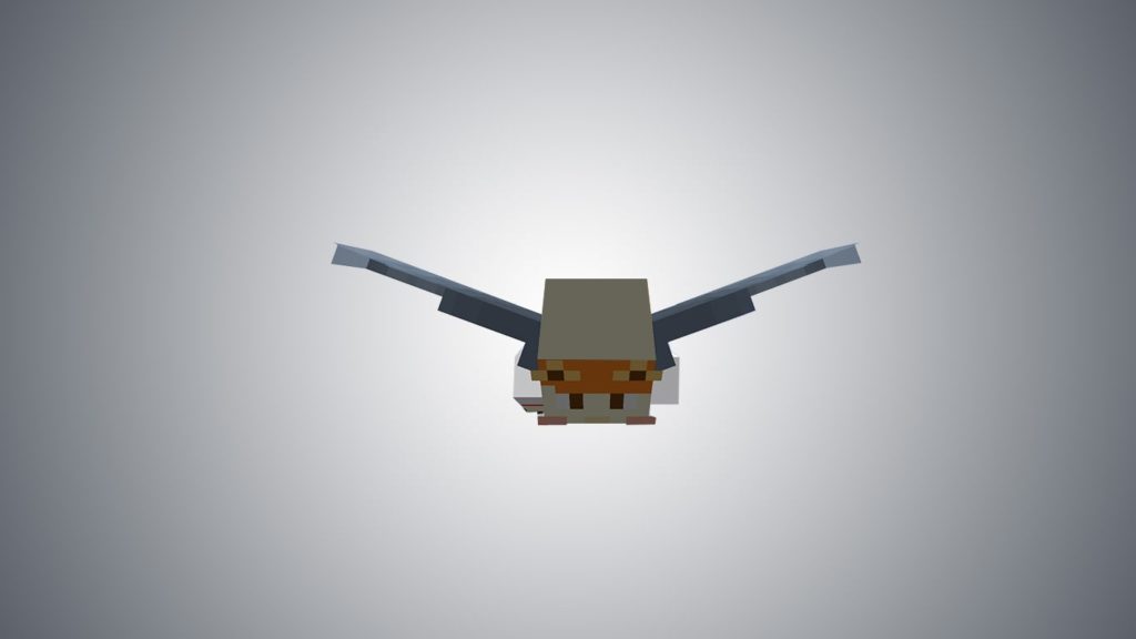 Fly in Minecraft
