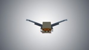 Fly in Minecraft