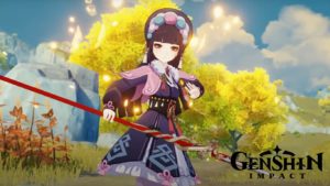 Storage Space Genshin Impact Takes