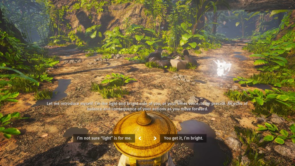 The decision-making aspect of Biomutant