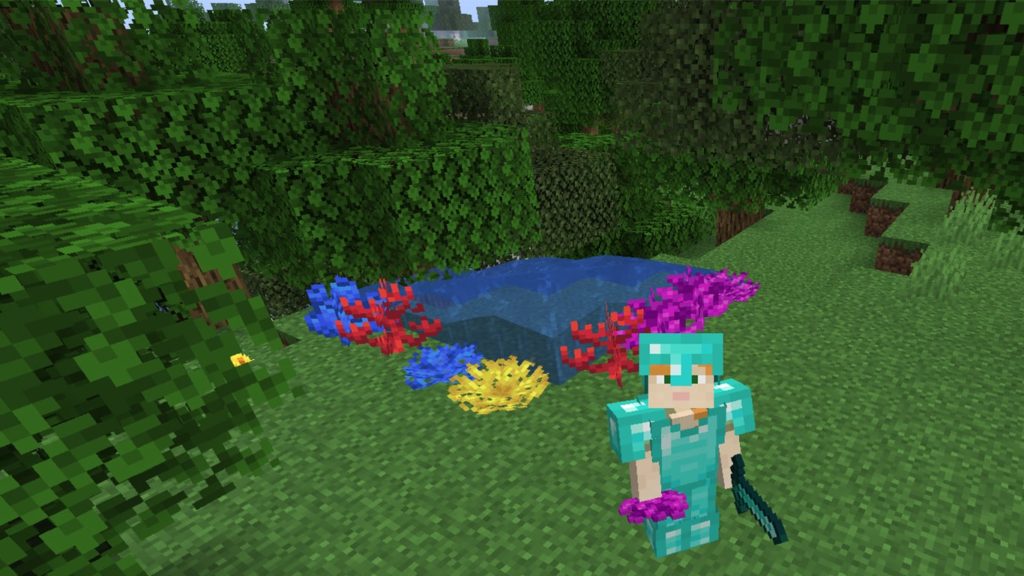 Keeping Minecraft Coral Alive