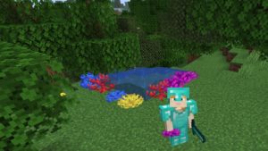 Keeping Minecraft Coral Alive